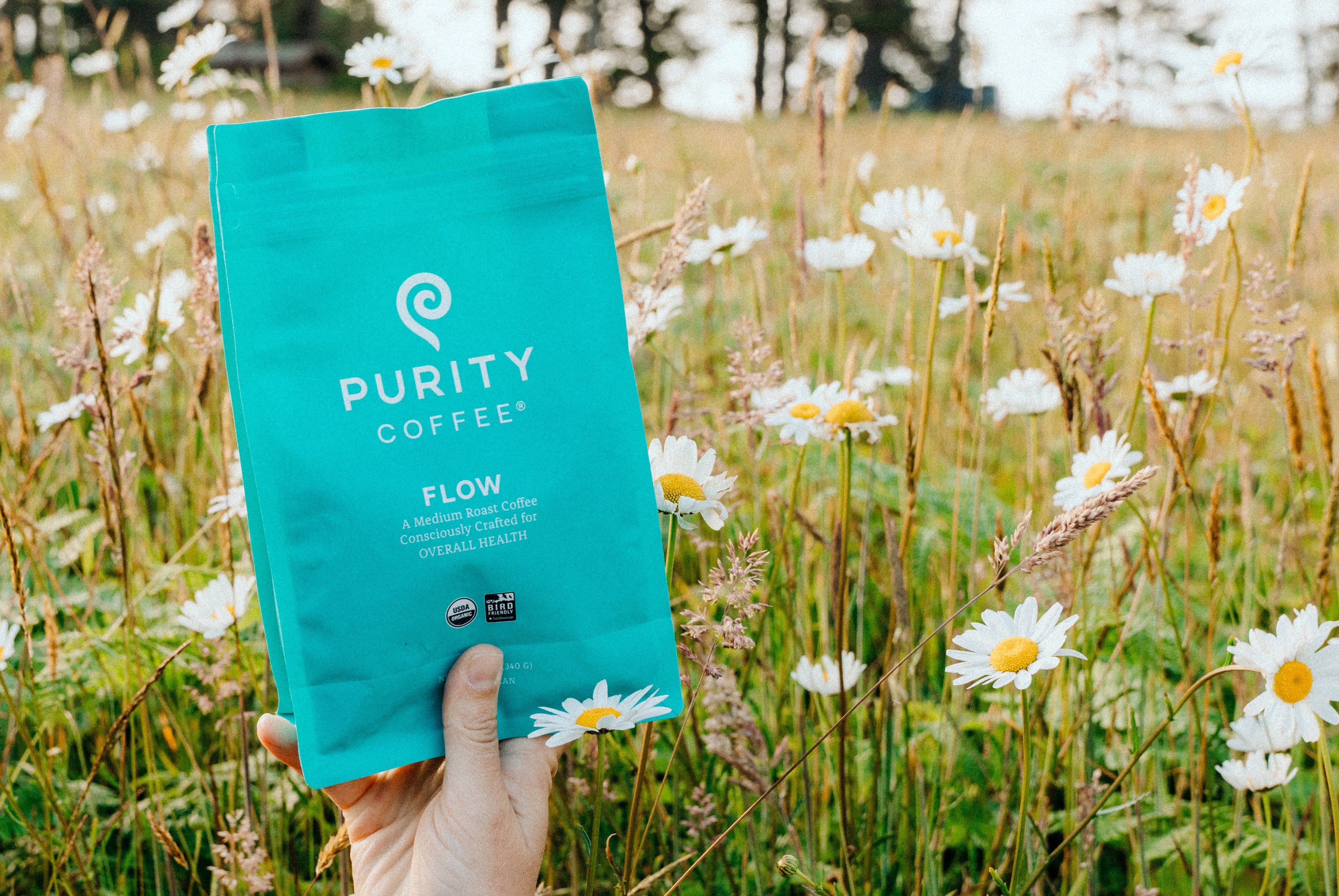 Purity Coffee