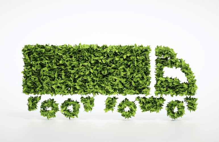 The Importance of Sustainability in eCommerce