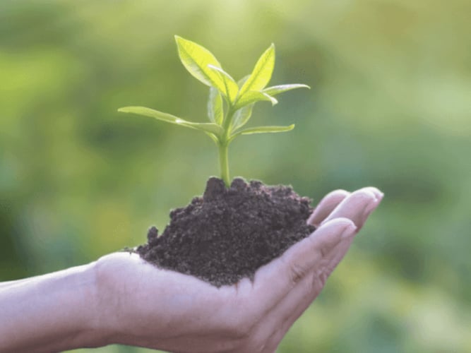 5 Steps To A Greener Checkout