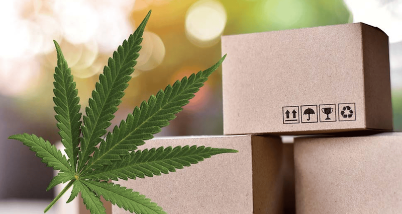 What to Consider Before Shipping CBD Products