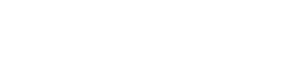 Heart and Soul logo